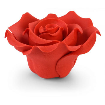 Rosa rossa grande