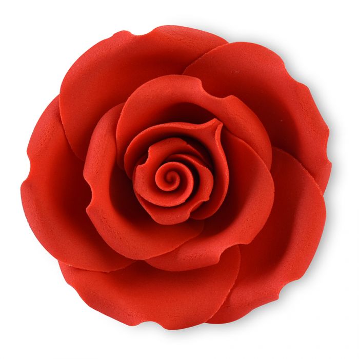 Rosa rossa grande