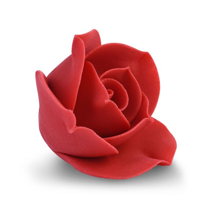 Rosa rossa piccola