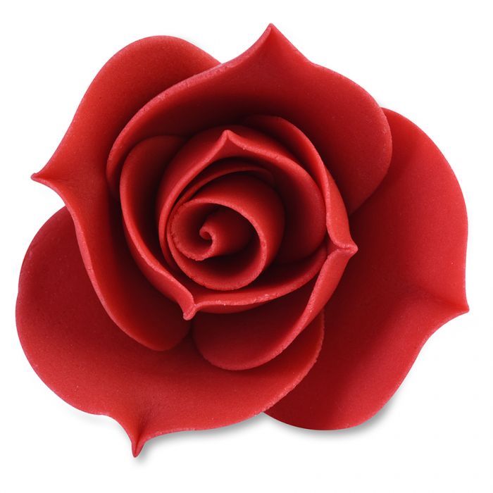 Rosa rossa piccola