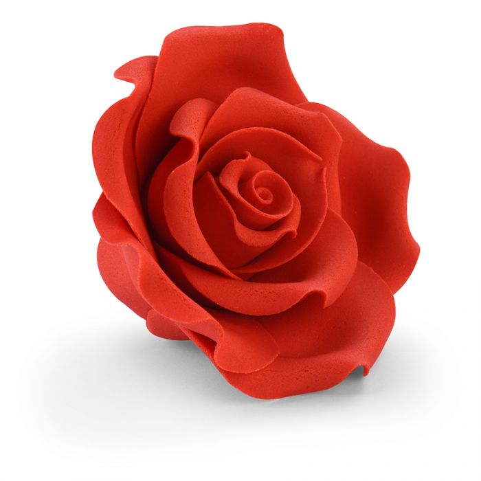 Rosa rossa grande