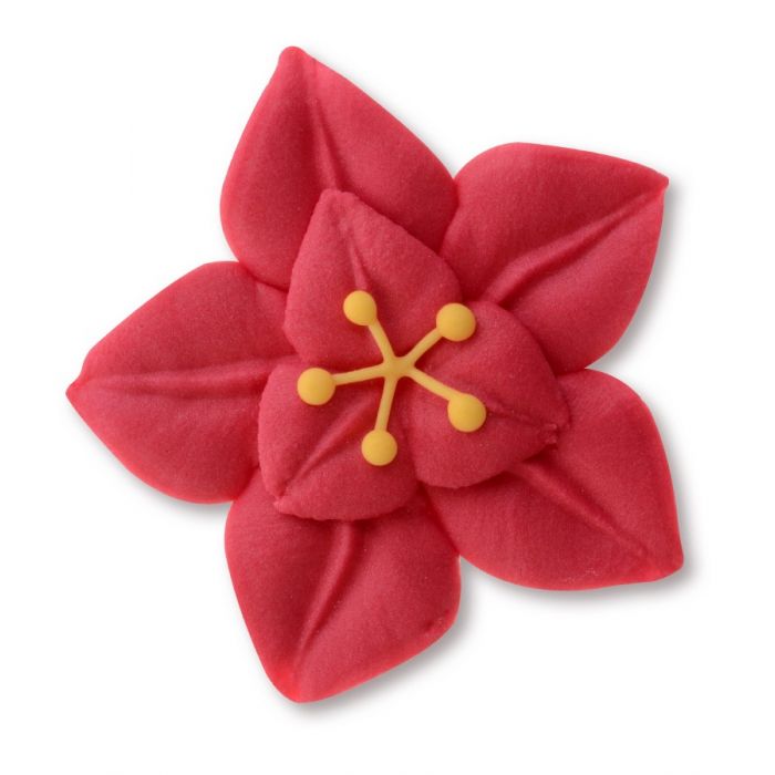 Stella Di Natale Zucchero